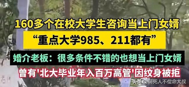 160多个在校大学生来咨询当上门女婿，985、211的都有！