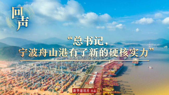 回声｜“总书记，宁波舟山港有了新的硬核实力”