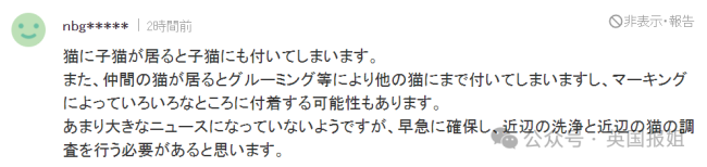 日本广岛一只猫掉进强毒物液体后逃走，警方发布寻猫启事：碰了可能致癌。