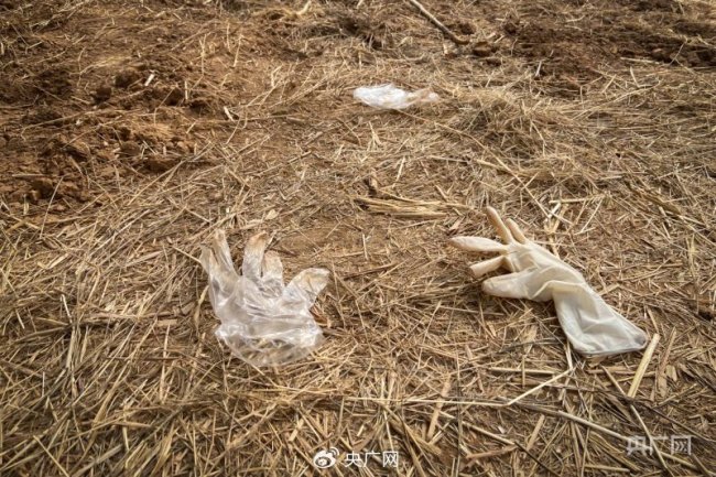 老师称被害初中生与3嫌犯关系很好 学校否认校园霸凌、家属不认可 实探邯郸初中生遇害案现场