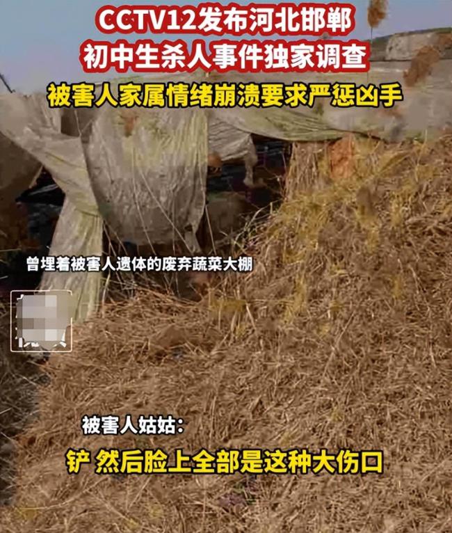 我不甘心！邯郸初中生被害父亲称咬着牙看完解剖：一定要弄清楚是怎么死的