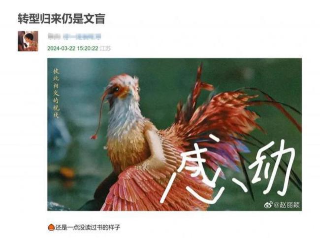 ​赵丽颖宣传《与凤行》又现错字，接连发低级错别字，采访支支吾吾