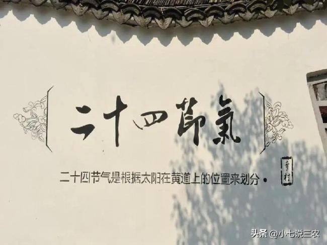 4月4日是“凶日”清明上坟扫墓,牢记:1不动,2不吃,3不做