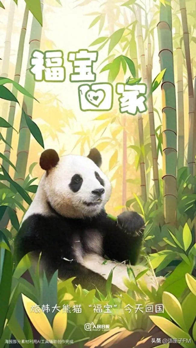顶流大熊猫“福宝”启程回国 韩国粉丝送别福宝泣不成声