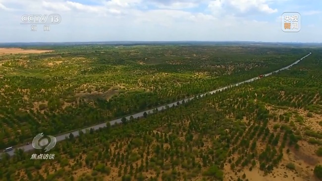 焦点访谈丨全民植树增绿 共建美丽中国