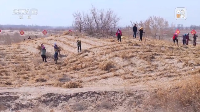 焦点访谈丨全民植树增绿 共建美丽中国