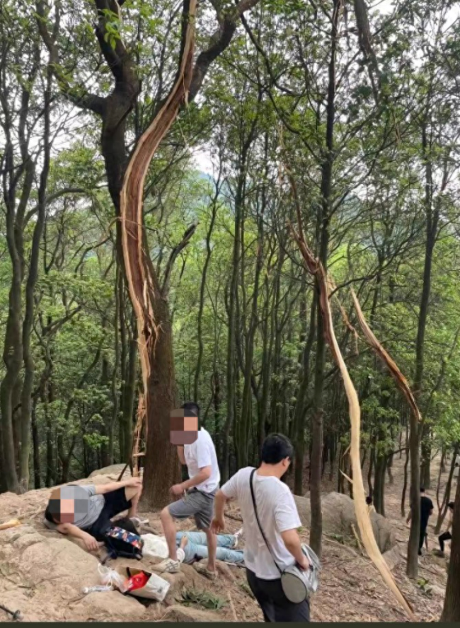 女子爬山游玩被雷电击中倒地 一旁大树被劈开