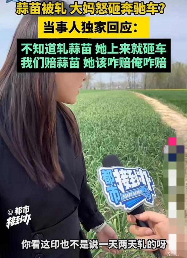 奔驰车轧蒜苗被砸车主回应：我赔蒜苗，大妈赔车