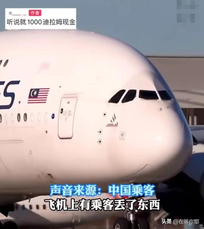 女子称乘坐马来西亚航空遭歧视：有人遗失物品 只有中国人被要求搜身