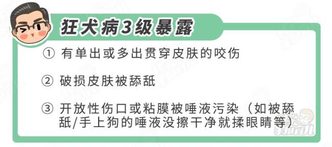 被狗舔了一口，9岁男孩不幸身亡！这2种伤口也要打狂犬疫苗 关键时刻能保命