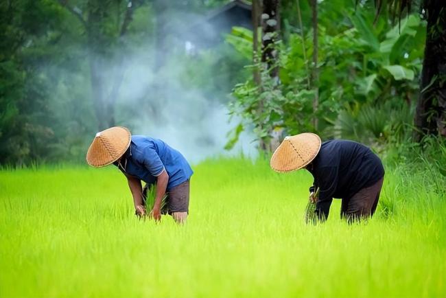 民间有“三伏热不热 三月看十三” 的说法，有啥预兆？