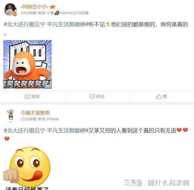 北大还行撒贝宁，平凡生活郭碧婷 网友：还差平平无奇古天乐