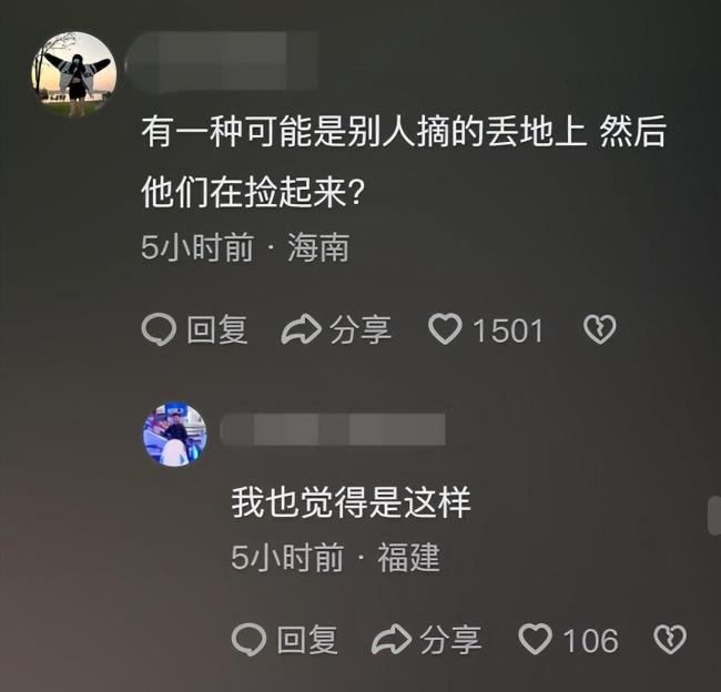 两女生捡花枝拍照被大爷指责乱采 咄咄逼人：我亲眼看见