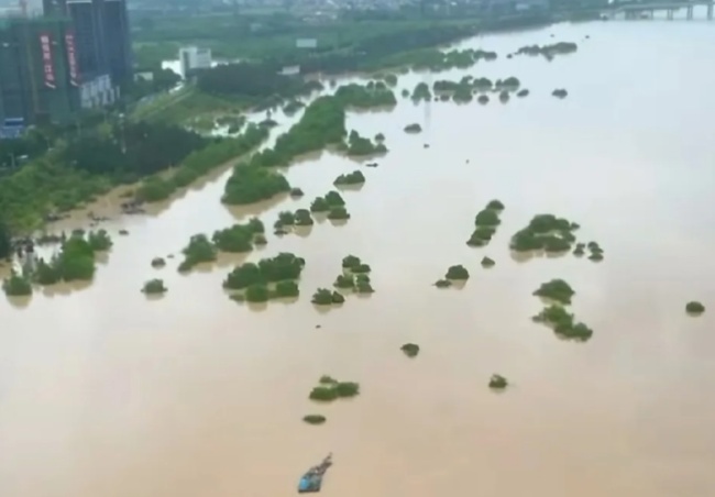 韶关暴雨致龙归河崩堤当地辟谣 水大未崩堤，洪水缓退