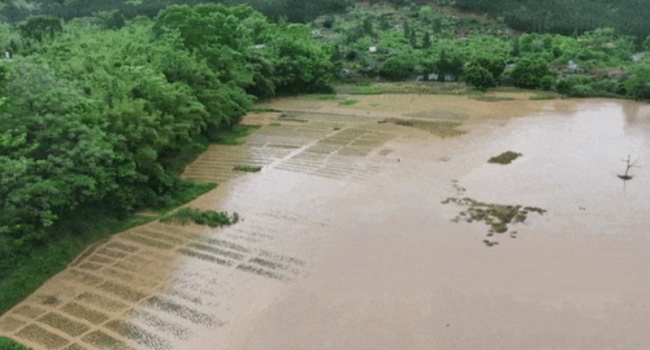 洪涝灾害致赣南2万余人受灾 多地遭遇强对流天气