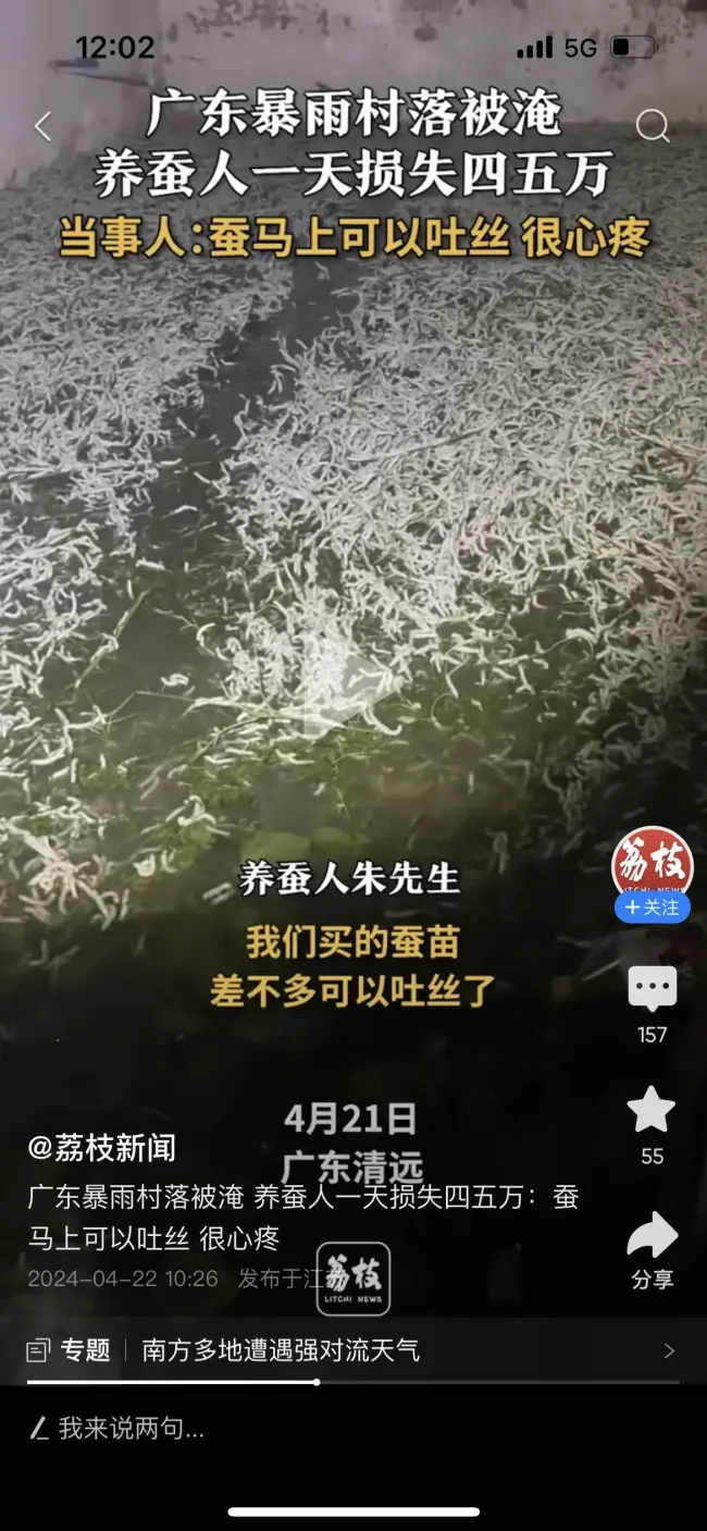 广东暴雨蚕农家中被淹损失惨重