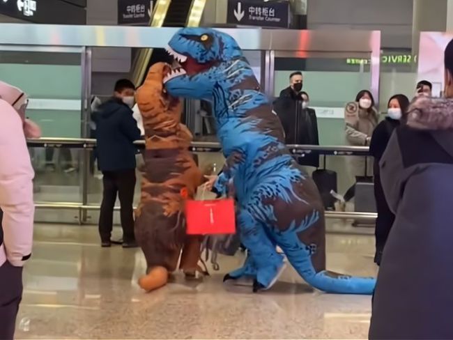 父子扮恐龙去机场接支教妈妈回家 妈妈反应太有趣