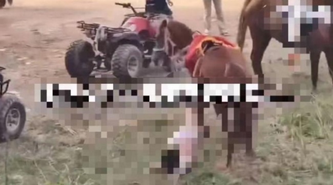 男孩骑马被拖行后身亡 涉事马主被抓刑事拘留