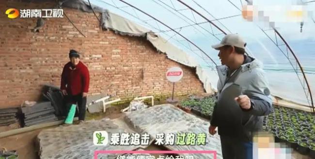 张颂文称早年曾靠翁虹买机票回家 揭秘综艺里的真性情大叔