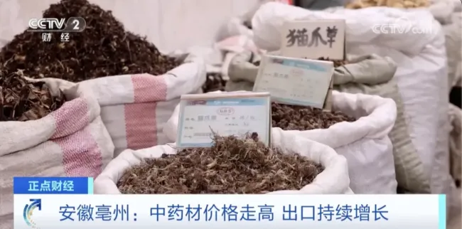 白术价格飙升 中药材市场迎来新一轮涨价潮