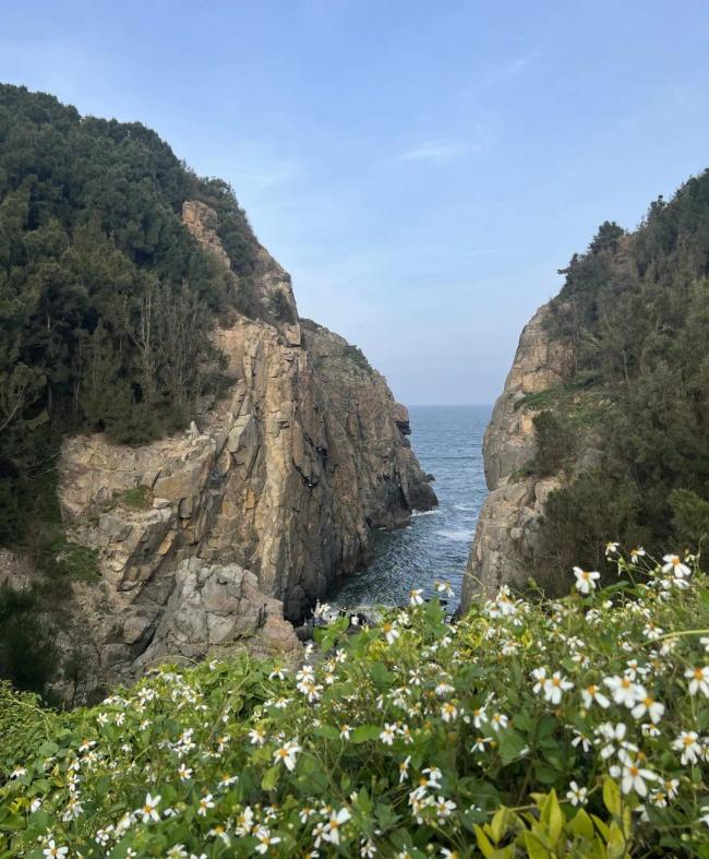 这个夏天，一说念去看“蓝眼泪”景不雅吧！