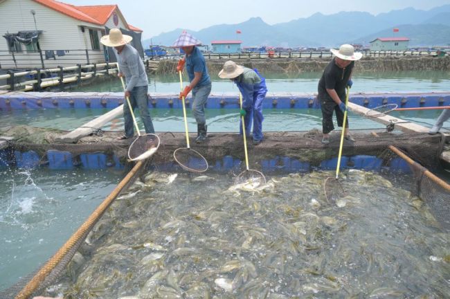 福建深入践行大食物观的经验启示