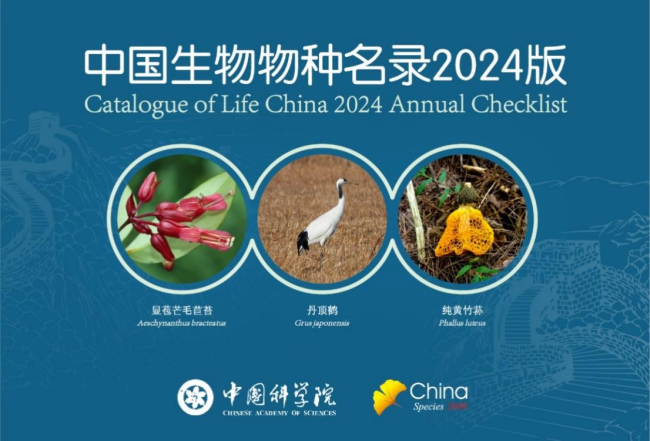 收錄超15萬個 《中國生物物種名錄2024版》發布