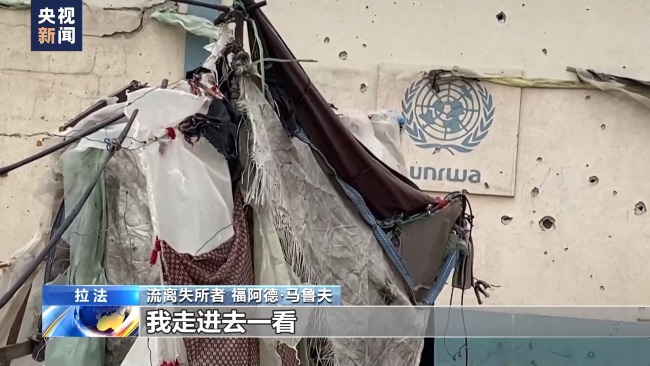 拉法又一难民营地遭袭 幸存者:家人惨遭伤害