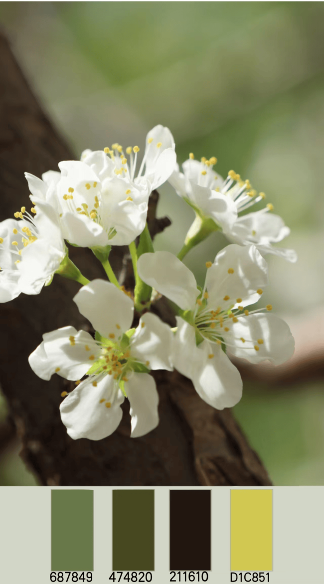 东林的颜色视觉盛宴 自然与建筑的调色盘