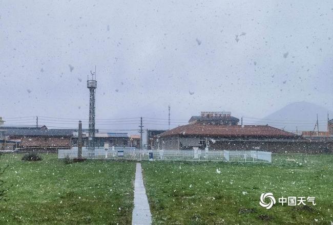 雪花漫天飞舞 青海久治六月迎来降雪