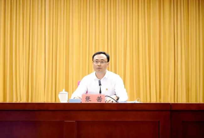 张茜任深圳市委副秘书长，兼任多部门要职
