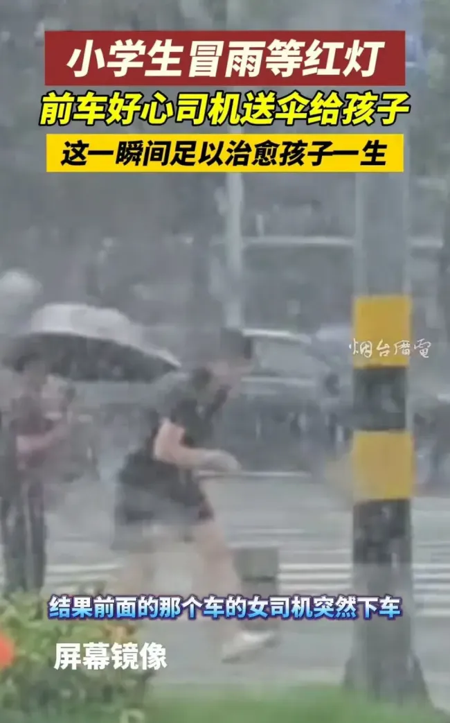 男孩大雨中等红灯 陌生人冒雨送伞 母爱般的温暖传递