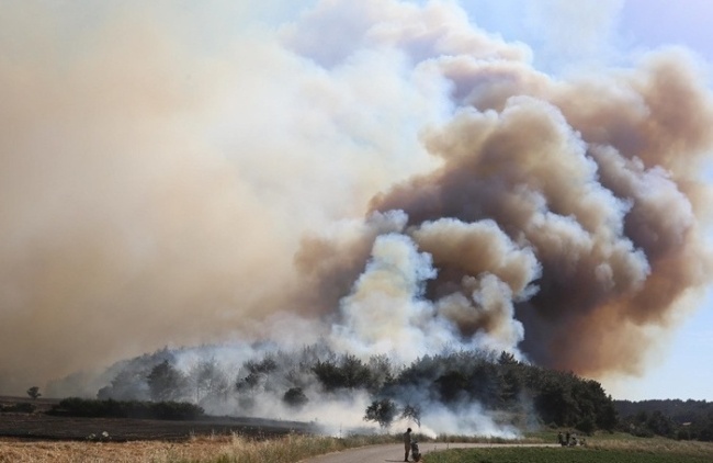 土耳其东南部发生森林火灾 造成5死44伤