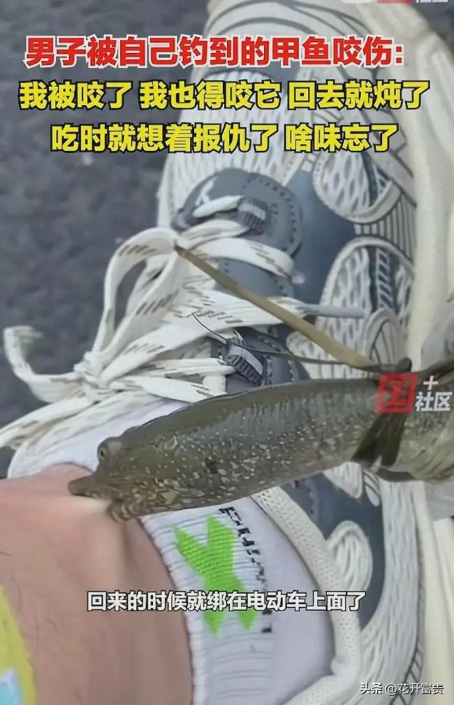 男子被自己钓的甲鱼咬伤 回家就炖了