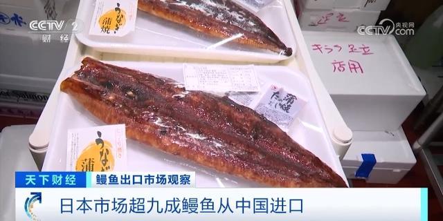 日本超九成鳗鱼从中国进口 出口旺季价格飙升