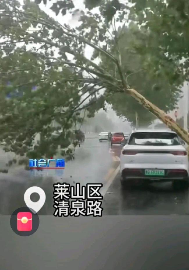 实拍烟台大风 琴音对抗狂风骤雨