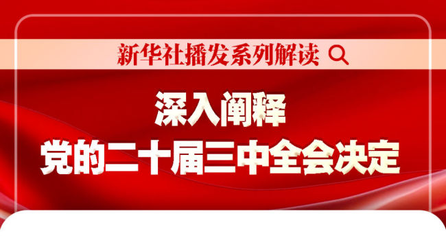 新华社播发系列解读，深入阐释党的二十届三中全会决定