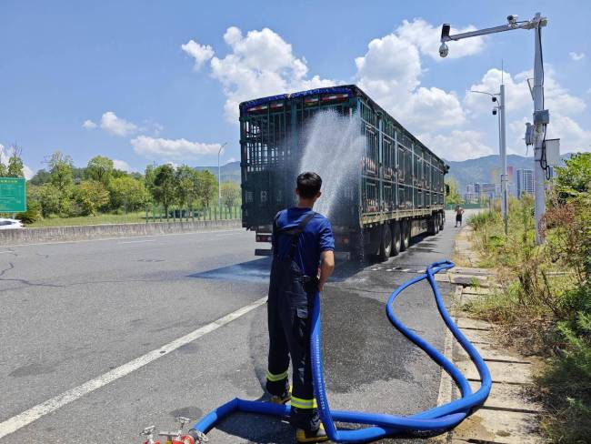 200多头猪从内蒙来到浙江，一路上中暑三次，三次求助消防 跨越千里终得解暑
