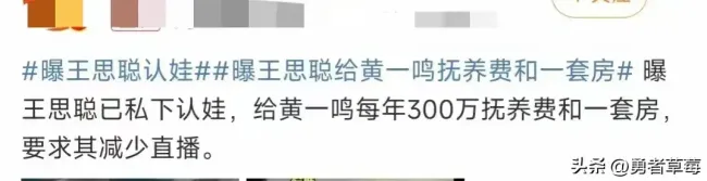 黄一鸣回应王思聪给抚养费和一套房 真相何在？引发热议