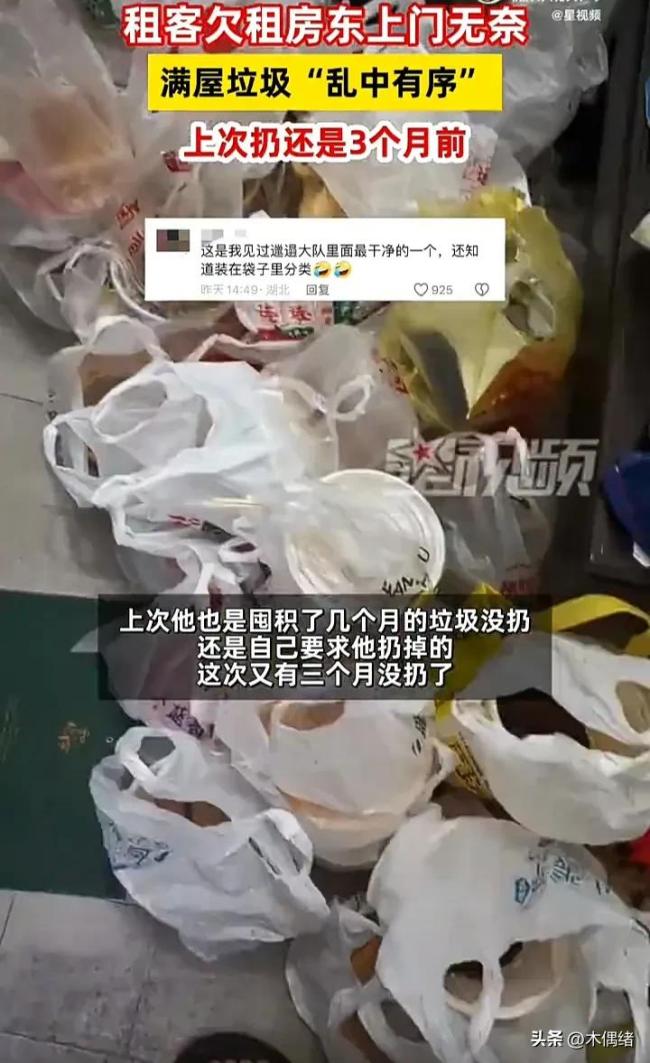 房东上门催租发现满屋垃圾乱中有序