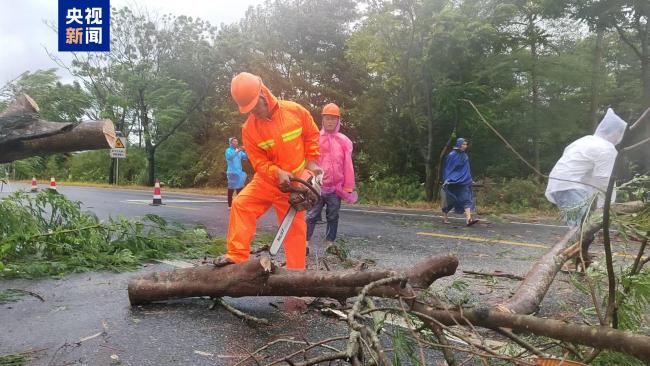 受台風“摩羯”影響 廣西北海發生路樹倒伏險情