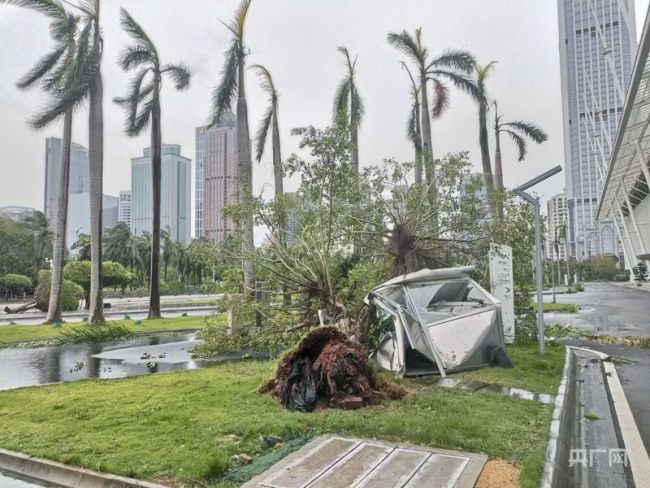 台风过境后的海南怎么样了 灾后重建进行时