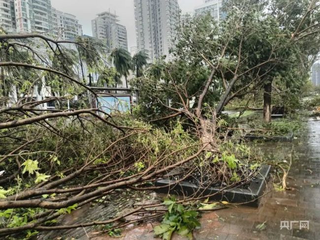 台风过境后的海南怎么样了 灾后重建进行时