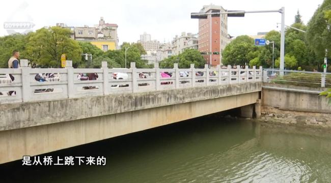 女子漂在河中挣扎被接力救上岸 市民与民警联手救援