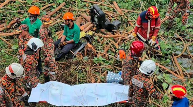 中国籍父女在马来西亚被树砸身亡 风暴酿悲剧，领馆伸援手