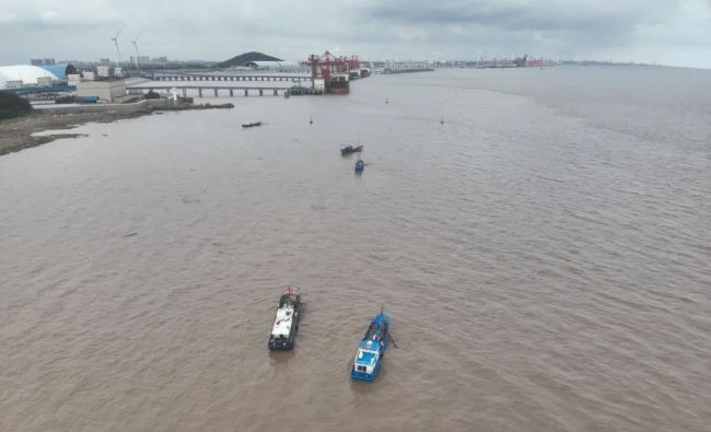 浙江一发电厂海蜇危机缓解 网民支招共解海洋难题