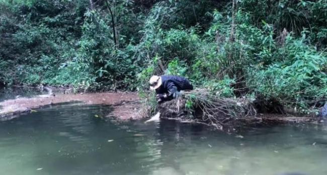 8人擅闯景区未开发区域被终身禁入 哀牢山探险热背后的警示