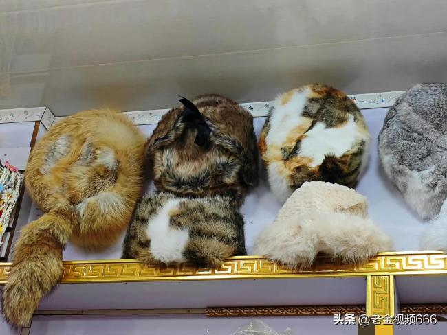 香格里拉古城满大街齐是猫皮成品