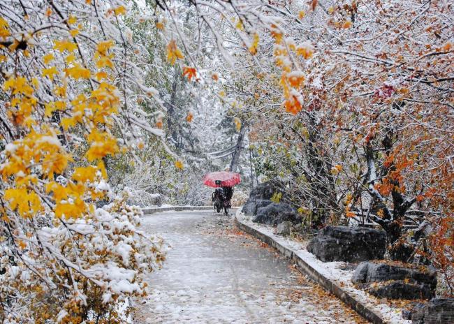 局地暴雪暴雨！骤降14℃！强冷空气来袭