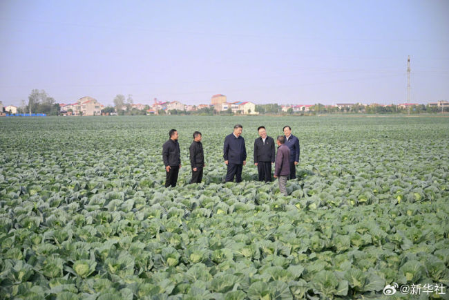 习近平：推进中国式现代化，必须加快推进乡村振兴